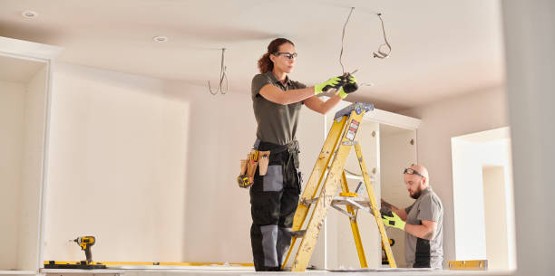 Best Electric Panel Repair  in Country Lake Estates, NJ