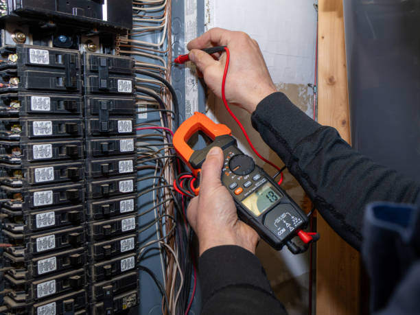 Best Electrical System Inspection  in Country Lake Estates, NJ
